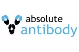 Absolute antibody