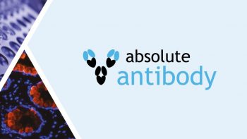 Absolute antibody logo