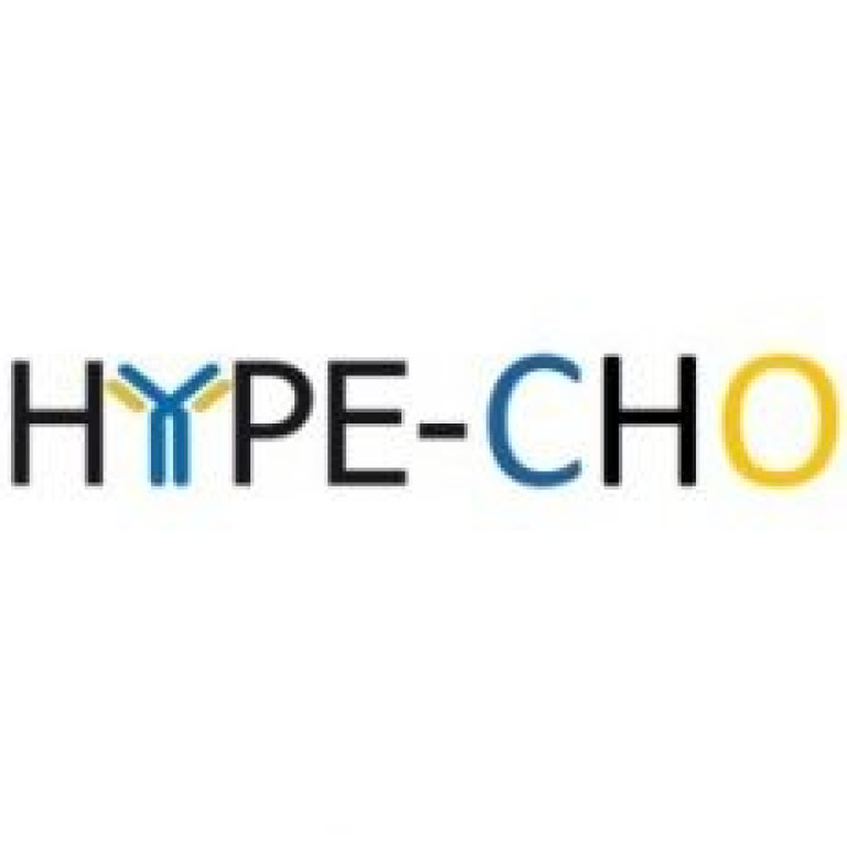 hype-cho-grafika-2