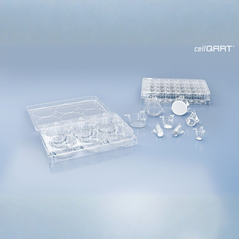 cellqart-content-min