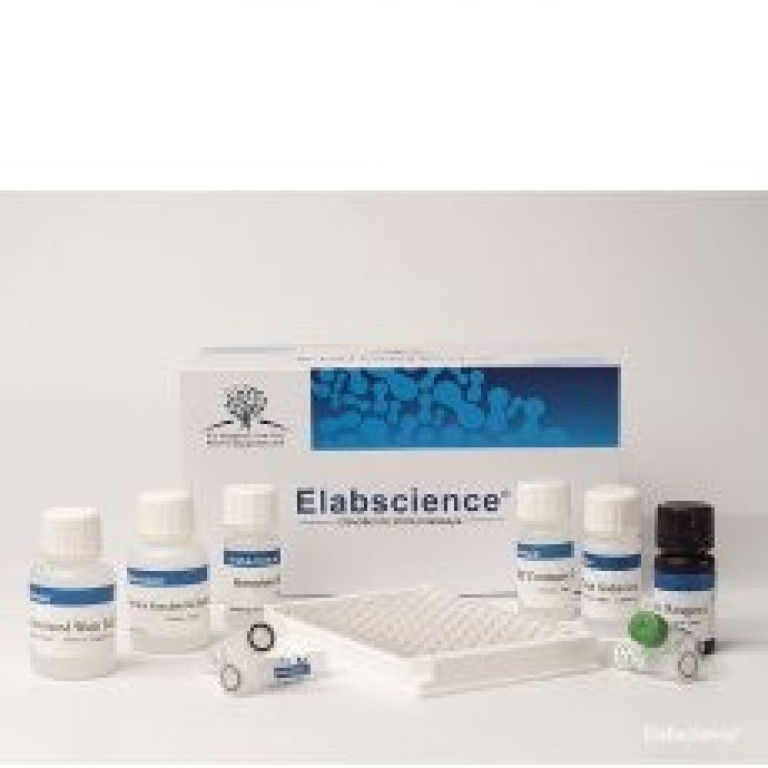 elabscience-testy-elisa